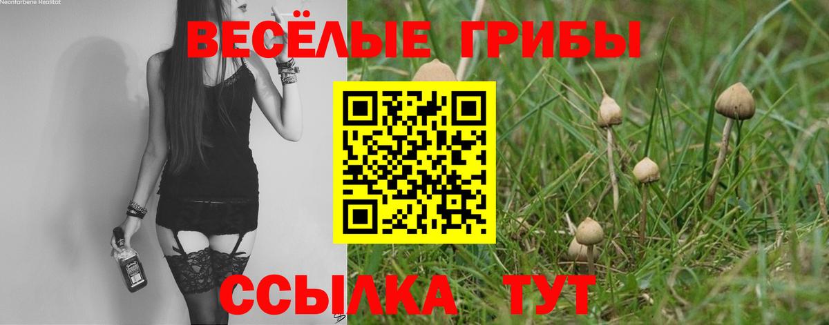 Галлюциногенные грибы мицелий  Вход с VPN  Кудымкар 